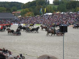 IMG_5965.JPG
