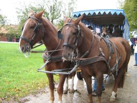 IMG_1949.JPG